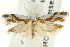  ( - CCDB-15730-E12)  @14 [ ] CreativeCommons - Attribution (2011) ANIC/CBG Photography Group Centre for Biodiversity Genomics