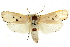  ( - CCDB-15735-C06)  @13 [ ] CreativeCommons - Attribution (2011) ANIC/CBG Photography Group Centre for Biodiversity Genomics