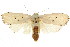  ( - CCDB-15735-C09)  @11 [ ] CreativeCommons - Attribution (2011) ANIC/CBG Photography Group Centre for Biodiversity Genomics