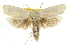  ( - CCDB-15736-G01)  @11 [ ] CreativeCommons - Attribution (2011) ANIC/CBG Photography Group Centre for Biodiversity Genomics