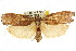  ( - CCDB-15738-A09)  @13 [ ] CreativeCommons - Attribution (2011) ANIC/CBG Photography Group Centre for Biodiversity Genomics