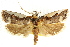  ( - CCDB-15738-B07)  @11 [ ] CreativeCommons - Attribution (2011) ANIC/CBG Photography Group Centre for Biodiversity Genomics