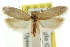  ( - CCDB-15739-C03)  @11 [ ] CreativeCommons - Attribution (2011) ANIC/CBG Photography Group Centre for Biodiversity Genomics
