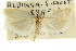  ( - CCDB-15739-H07)  @11 [ ] CreativeCommons - Attribution (2011) ANIC/CBG Photography Group Centre for Biodiversity Genomics