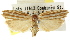  ( - CCDB-15740-A06)  @11 [ ] CreativeCommons - Attribution (2011) ANIC/CBG Photography Group Centre for Biodiversity Genomics