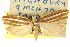  ( - CCDB-15740-F03)  @11 [ ] CreativeCommons - Attribution (2011) ANIC/CBG Photography Group Centre for Biodiversity Genomics