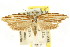  ( - CCDB-15740-F06)  @11 [ ] CreativeCommons - Attribution (2011) ANIC/CBG Photography Group Centre for Biodiversity Genomics
