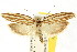  ( - CCDB-15740-F07)  @11 [ ] CreativeCommons - Attribution (2011) ANIC/CBG Photography Group Centre for Biodiversity Genomics