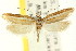  ( - CCDB-15741-B10)  @11 [ ] CreativeCommons - Attribution (2011) ANIC/CBG Photography Group Centre for Biodiversity Genomics