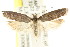  ( - CCDB-15749-E12)  @11 [ ] CreativeCommons - Attribution (2011) ANIC/CBG Photography Group Centre for Biodiversity Genomics