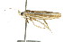  ( - CCDB-15750-B05)  @12 [ ] CreativeCommons - Attribution (2011) ANIC/CBG Photography Group Centre for Biodiversity Genomics