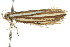  ( - CCDB-15750-B07)  @13 [ ] CreativeCommons - Attribution (2011) ANIC/CBG Photography Group Centre for Biodiversity Genomics