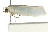 ( - CCDB-15750-E10)  @12 [ ] CreativeCommons - Attribution (2011) ANIC/CBG Photography Group Centre for Biodiversity Genomics