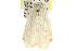 ( - CCDB-15750-F06)  @12 [ ] CreativeCommons - Attribution (2011) ANIC/CBG Photography Group Centre for Biodiversity Genomics