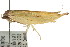  ( - CCDB-15750-H04)  @12 [ ] CreativeCommons - Attribution (2011) ANIC/CBG Photography Group Centre for Biodiversity Genomics