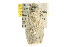  ( - CCDB-15750-H11)  @12 [ ] CreativeCommons - Attribution (2011) ANIC/CBG Photography Group Centre for Biodiversity Genomics