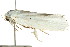  ( - CCDB-15751-C06)  @12 [ ] CreativeCommons - Attribution (2011) ANIC/CBG Photography Group Centre for Biodiversity Genomics