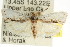  (Crypsicharis enthetica - CCDB-15751-D05)  @15 [ ] CreativeCommons - Attribution (2011) ANIC/CBG Photography Group Centre for Biodiversity Genomics