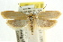  ( - CCDB-15751-G11)  @14 [ ] CreativeCommons - Attribution (2011) ANIC/CBG Photography Group Centre for Biodiversity Genomics