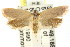  ( - CCDB-15760-C07)  @11 [ ] CreativeCommons - Attribution (2011) ANIC/CBG Photography Group Centre for Biodiversity Genomics
