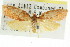  ( - CCDB-15760-H09)  @11 [ ] CreativeCommons - Attribution (2011) ANIC/CBG Photography Group Centre for Biodiversity Genomics