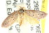  ( - CCDB-15761-A07)  @14 [ ] CreativeCommons - Attribution (2011) ANIC/CBG Photography Group Centre for Biodiversity Genomics