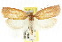  ( - CCDB-15763-E07)  @12 [ ] CreativeCommons - Attribution (2011) ANIC/CBG Photography Group Centre for Biodiversity Genomics