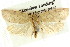  ( - CCDB-15764-F04)  @11 [ ] CreativeCommons - Attribution (2011) ANIC/CBG Photography Group Centre for Biodiversity Genomics