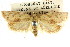  ( - CCDB-15764-F05)  @11 [ ] CreativeCommons - Attribution (2011) ANIC/CBG Photography Group Centre for Biodiversity Genomics