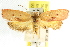  ( - CCDB-15765-F04)  @13 [ ] CreativeCommons - Attribution (2011) ANIC/CBG Photography Group Centre for Biodiversity Genomics