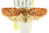  ( - CCDB-15768-H08)  @14 [ ] CreativeCommons - Attribution (2011) ANIC/CBG Photography Group Centre for Biodiversity Genomics