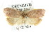  ( - CCDB-15770-B03)  @14 [ ] CreativeCommons - Attribution (2011) ANIC/CBG Photography Group Centre for Biodiversity Genomics
