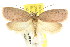  ( - CCDB-15770-B07)  @15 [ ] CreativeCommons - Attribution (2011) ANIC/CBG Photography Group Centre for Biodiversity Genomics
