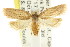 ( - CCDB-15770-H11)  @11 [ ] CreativeCommons - Attribution (2011) ANIC/CBG Photography Group Centre for Biodiversity Genomics