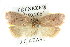  ( - CCDB-15771-B03)  @11 [ ] CreativeCommons - Attribution (2011) ANIC/CBG Photography Group Centre for Biodiversity Genomics