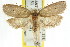  ( - CCDB-15772-G09)  @14 [ ] CreativeCommons - Attribution (2011) ANIC/CBG Photography Group Centre for Biodiversity Genomics