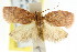  ( - CCDB-15773-B03)  @13 [ ] CreativeCommons - Attribution (2011) ANIC/CBG Photography Group Centre for Biodiversity Genomics