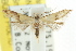  ( - CCDB-15775-B05)  @13 [ ] CreativeCommons - Attribution (2011) ANIC/CBG Photography Group Centre for Biodiversity Genomics