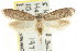  ( - CCDB-15783-B12)  @13 [ ] CreativeCommons - Attribution (2011) ANIC/CBG Photography Group Centre for Biodiversity Genomics
