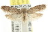  ( - CCDB-15783-C04)  @11 [ ] CreativeCommons - Attribution (2011) ANIC/CBG Photography Group Centre for Biodiversity Genomics