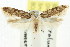  ( - CCDB-15790-G11)  @14 [ ] CreativeCommons - Attribution (2011) ANIC/CBG Photography Group Centre for Biodiversity Genomics