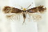  ( - CCDB-15791-G05)  @11 [ ] CreativeCommons - Attribution (2011) ANIC/CBG Photography Group Centre for Biodiversity Genomics