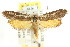  ( - CCDB-15792-D09)  @13 [ ] CreativeCommons - Attribution (2011) ANIC/CBG Photography Group Centre for Biodiversity Genomics