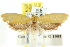  ( - CCDB-15792-G03)  @13 [ ] CreativeCommons - Attribution (2011) ANIC/CBG Photography Group Centre for Biodiversity Genomics