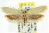  ( - CCDB-15792-G05)  @14 [ ] CreativeCommons - Attribution (2011) ANIC/CBG Photography Group Centre for Biodiversity Genomics