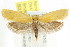  ( - CCDB-15792-H02)  @13 [ ] CreativeCommons - Attribution (2011) ANIC/CBG Photography Group Centre for Biodiversity Genomics