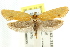  ( - CCDB-15792-H04)  @14 [ ] CreativeCommons - Attribution (2011) ANIC/CBG Photography Group Centre for Biodiversity Genomics