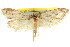  ( - CCDB-15793-D01)  @11 [ ] CreativeCommons - Attribution (2011) ANIC/CBG Photography Group Centre for Biodiversity Genomics