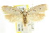  ( - CCDB-15793-F06)  @13 [ ] CreativeCommons - Attribution (2011) ANIC/CBG Photography Group Centre for Biodiversity Genomics
