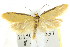  ( - CCDB-15793-G05)  @12 [ ] CreativeCommons - Attribution (2011) ANIC/CBG Photography Group Centre for Biodiversity Genomics